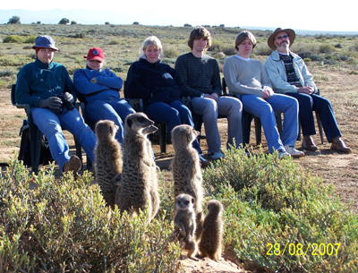 watch film meerkat meerkats suricate suricates tour tours magic 11111.jpg
